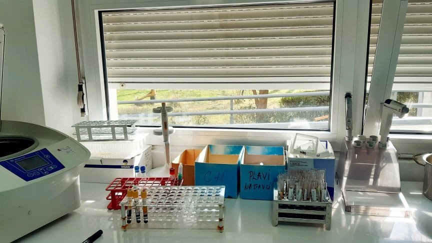 Foto T.S / laboratorija ZZJZ