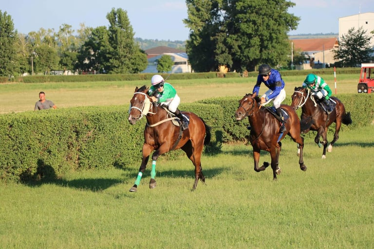 FOTO: Boom93/ T.S.
arhivska fotografija