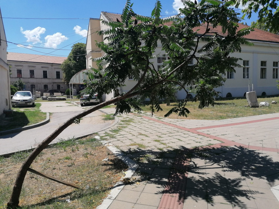 Foto: Milanče
