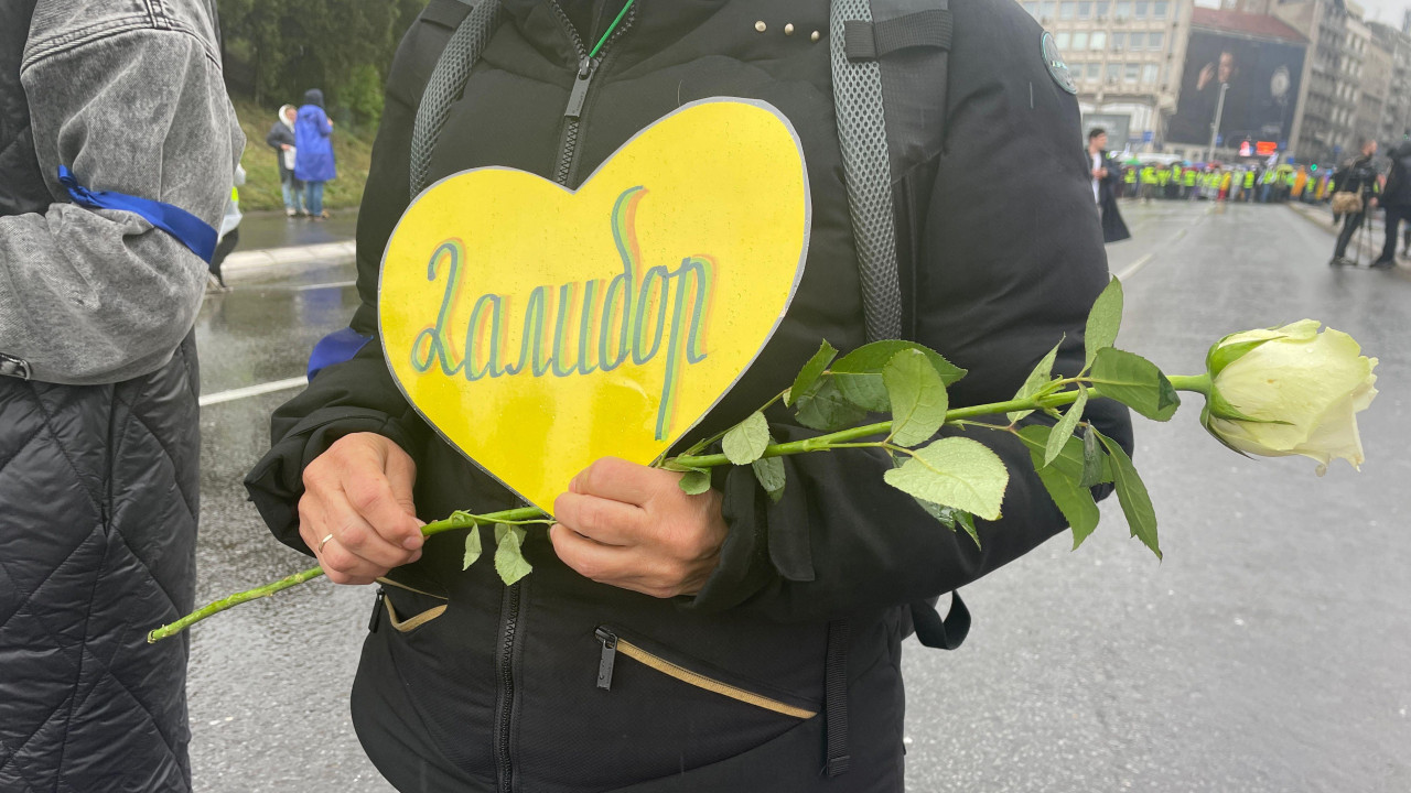 ruža za Dalibora