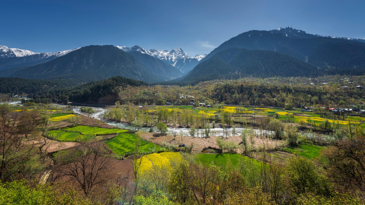 Farme pirinča u podnožju Pahalgama u Kašmiru pod indijskom upravom