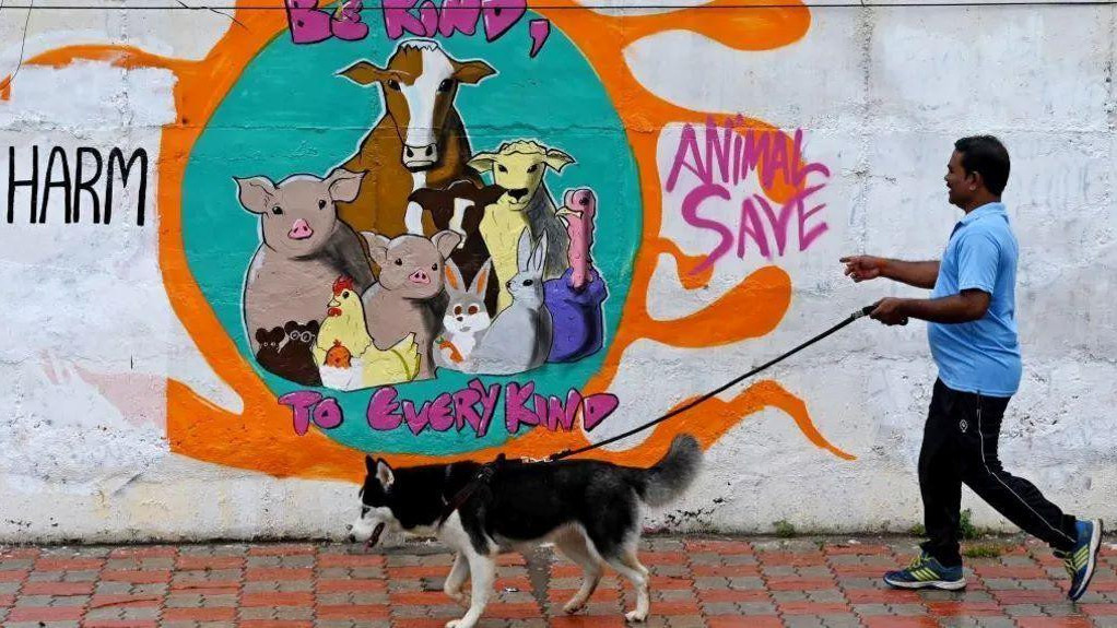 muškarac šeta psa