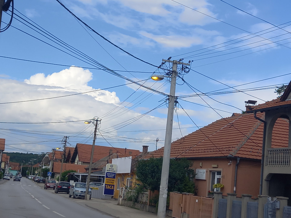Foto: N.. Stojićević