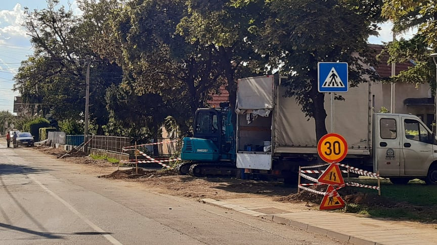 Dalmatinska