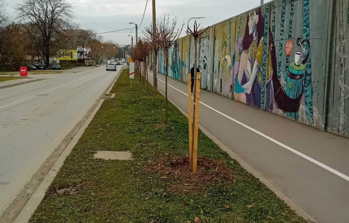 FOTO: JKP "Komunalne službe"