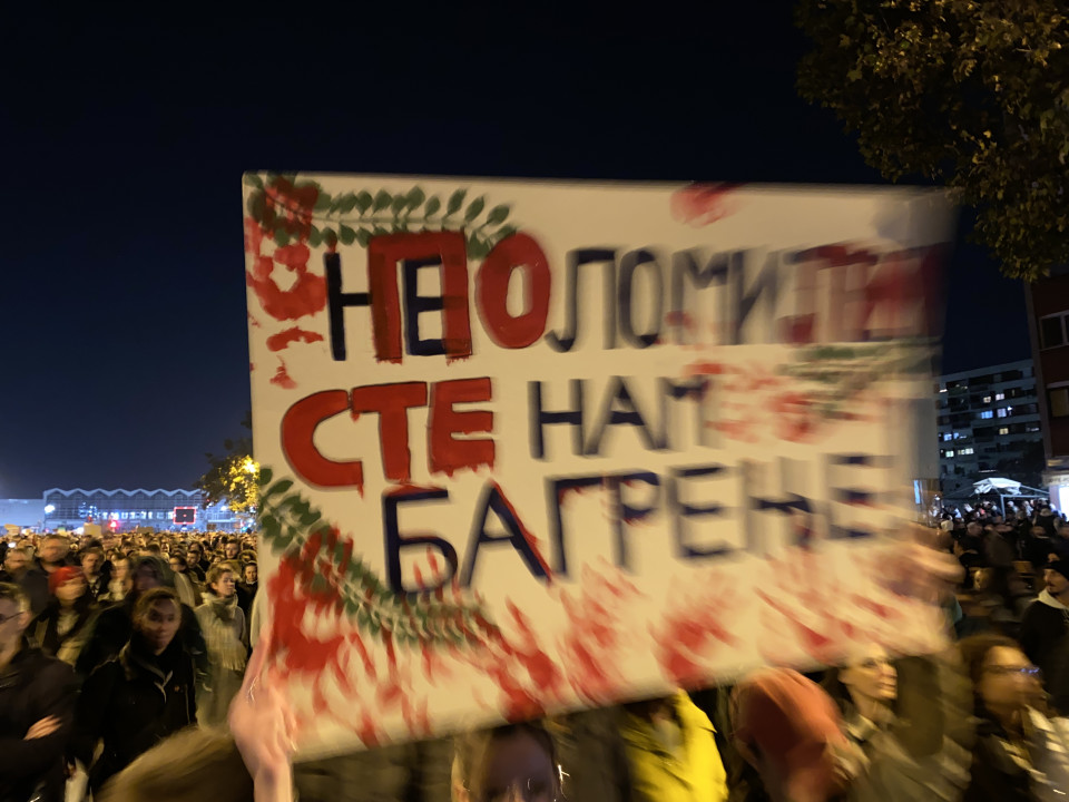Foto: Z. Veljković/ilustracija